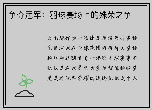争夺冠军：羽球赛场上的殊荣之争